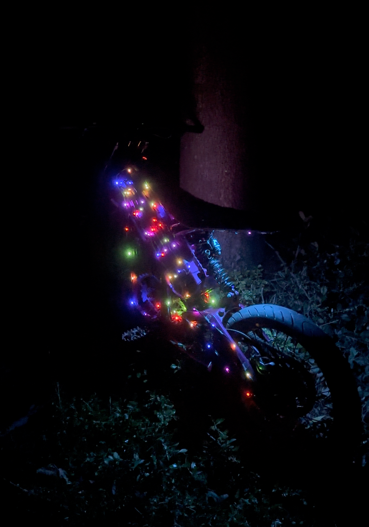 Ebike Christmas Light