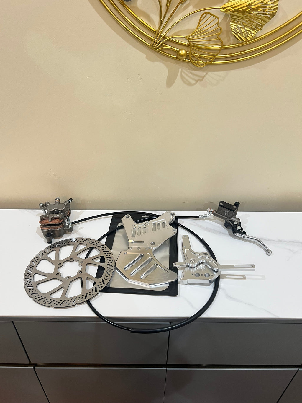 Surron LBX / Eride Pro Ultra Bee Hand + Footbrake Kit