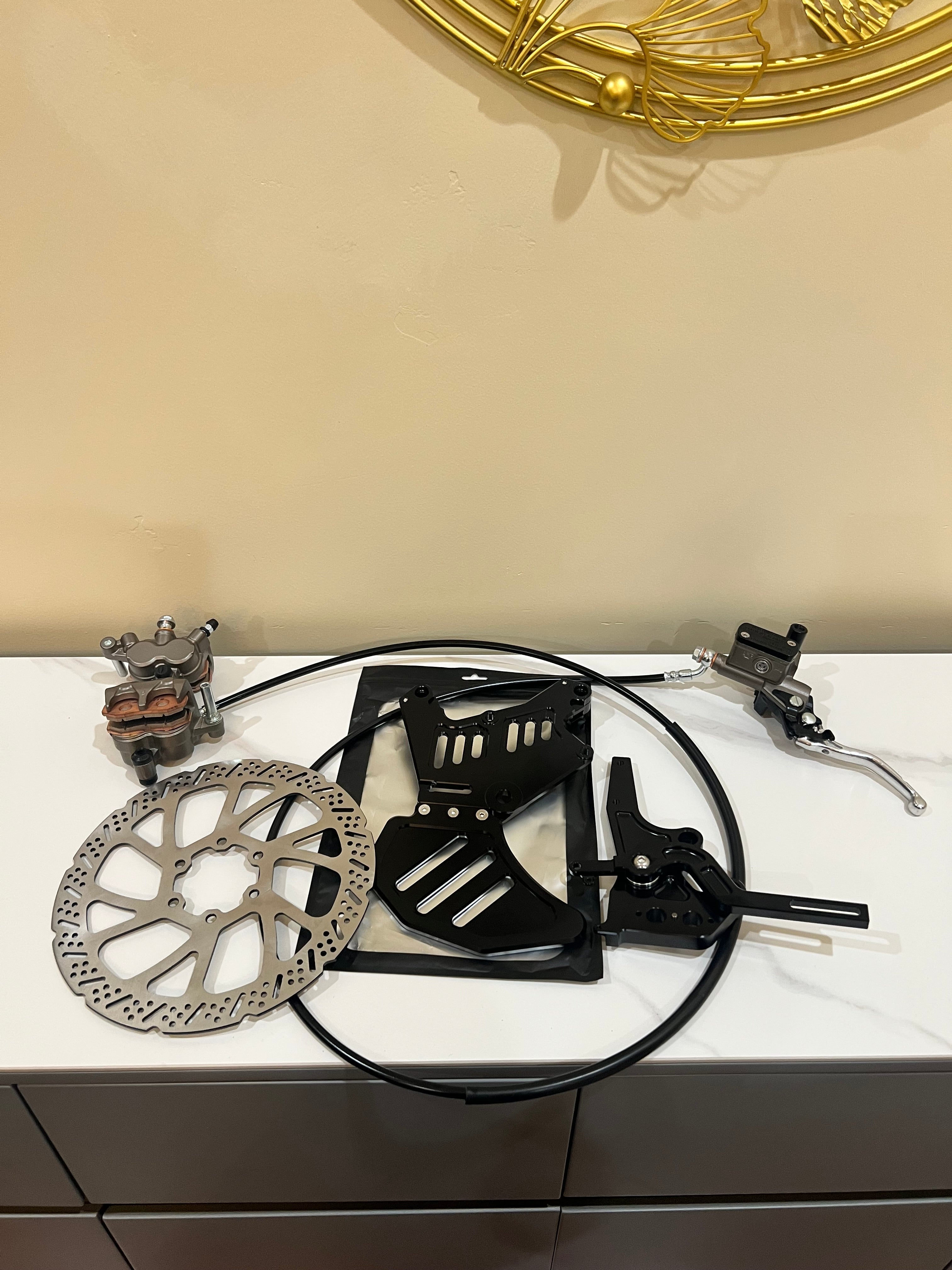 Surron LBX / Eride Pro Ultra Bee Hand + Footbrake Kit